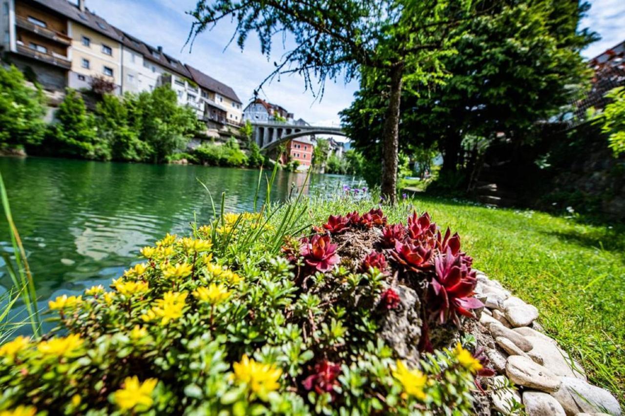 Leopold An Der Ybbs Apartment Waidhofen an der Ybbs Bagian luar foto
